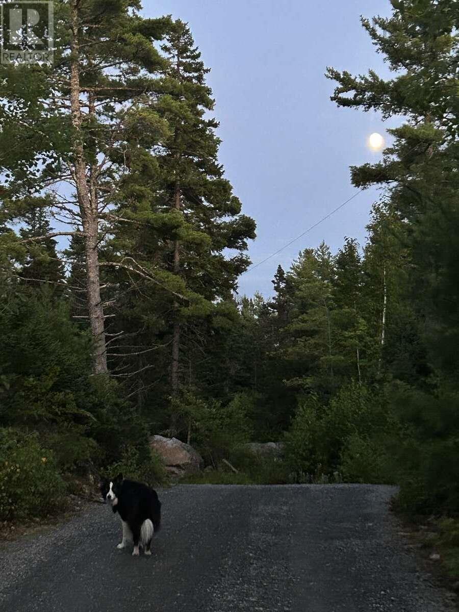 11 Lakeshore Drive, Aylesford Lake, Nova Scotia  B0P 1C0 - Photo 32 - 202518085