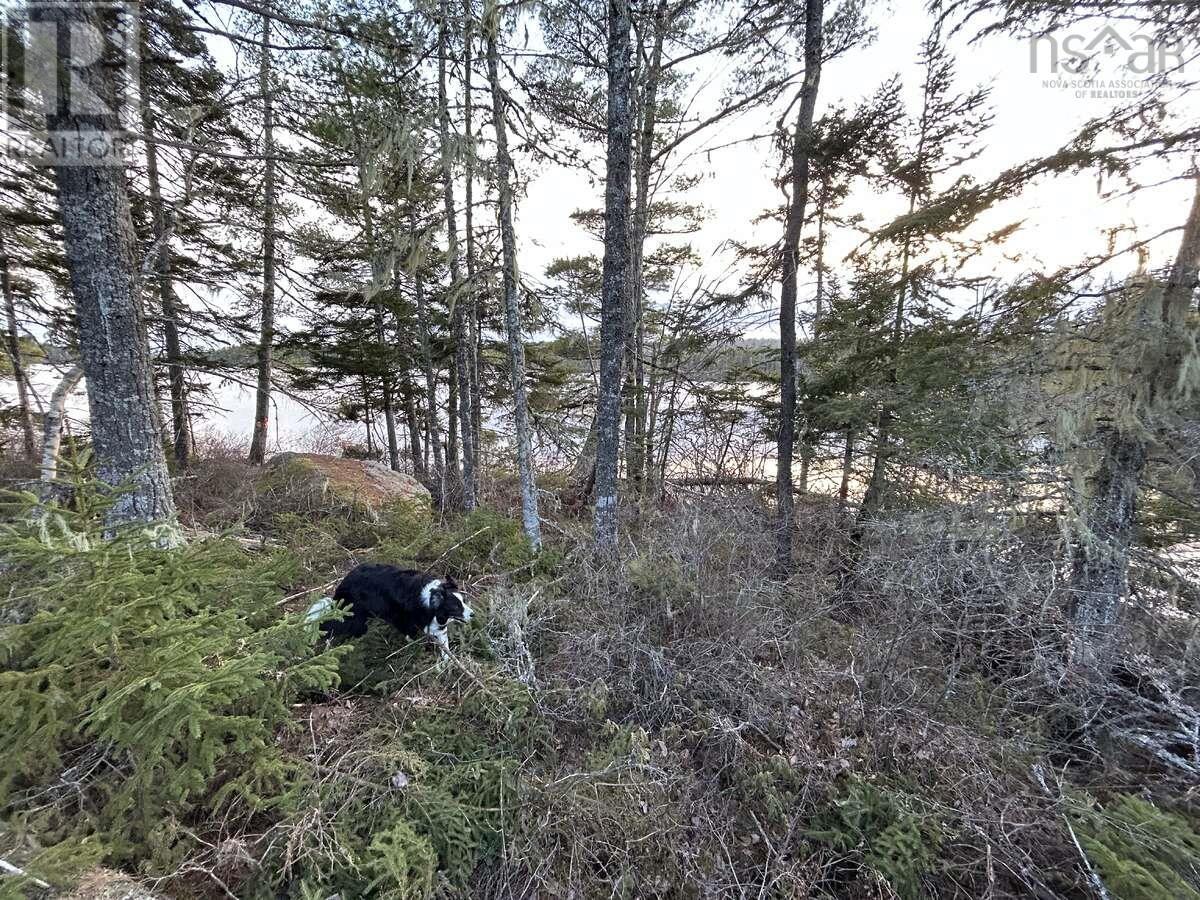 11 Lakeshore Drive, Aylesford Lake, Nova Scotia  B0P 1C0 - Photo 30 - 202518085