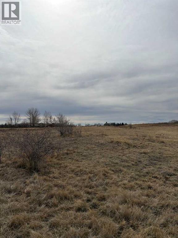 W 4 Range 25 Twp 24 Section 35 Ne, Rural Wheatland County, Alberta  T1P 0J1 - Photo 4 - A2301782