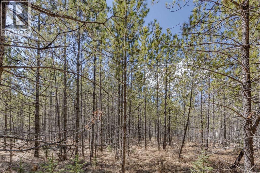 336241 Leisure Lake Bay W, Rural Foothills County, Alberta  T0L 1W2 - Photo 16 - A2303777