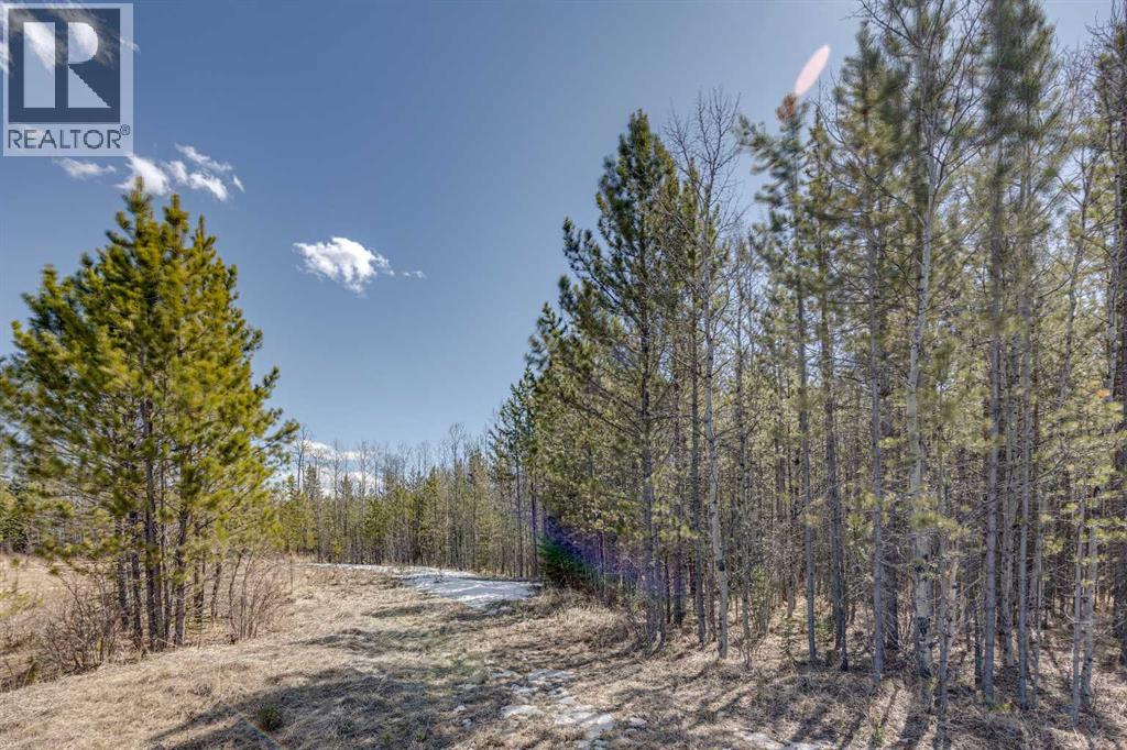 336241 Leisure Lake Bay W, Rural Foothills County, Alberta  T0L 1W2 - Photo 13 - A2303777