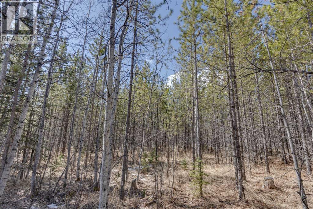 336241 Leisure Lake Bay W, Rural Foothills County, Alberta  T0L 1W2 - Photo 15 - A2303777