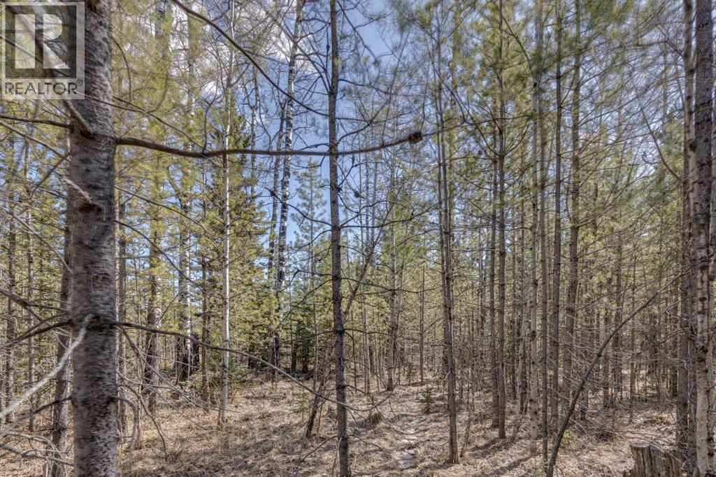 336241 Leisure Lake Bay W, Rural Foothills County, Alberta  T0L 1W2 - Photo 24 - A2303777