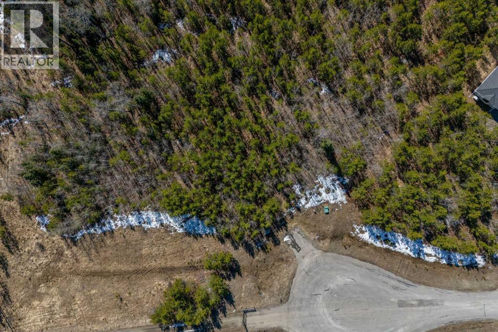 336241 Leisure Lake Bay W, Rural Foothills County, Alberta  T0L 1W2 - Photo 36 - A2303777