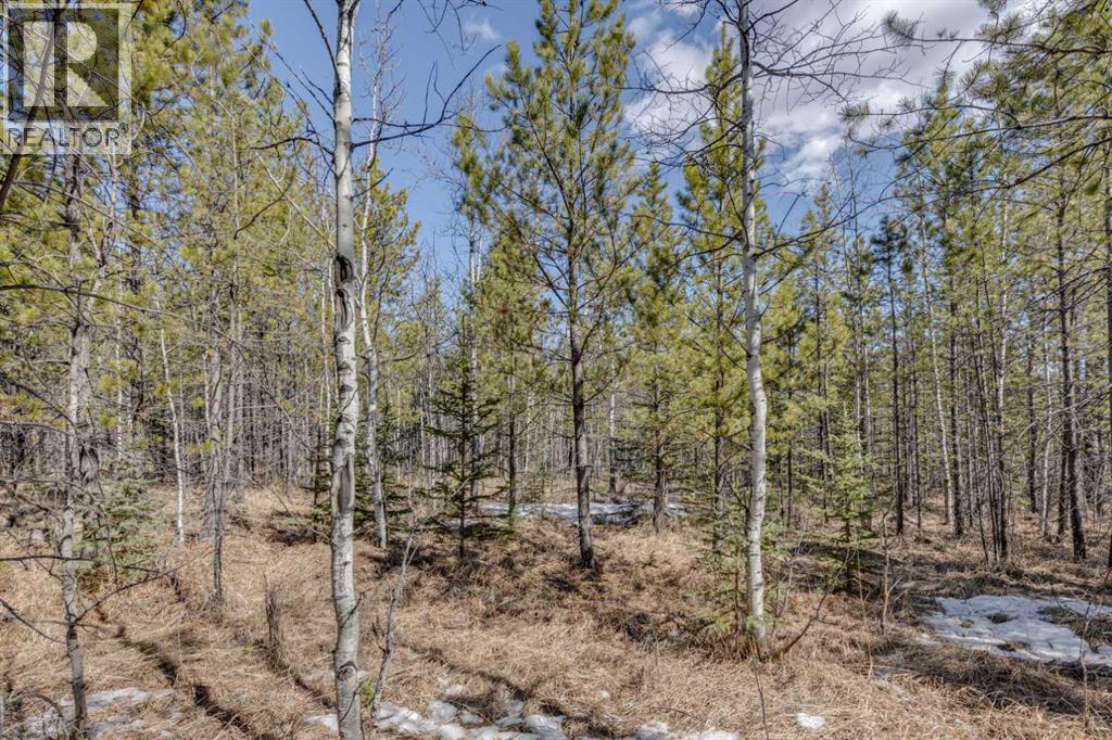 336241 Leisure Lake Bay W, Rural Foothills County, Alberta  T0L 1W2 - Photo 23 - A2303777