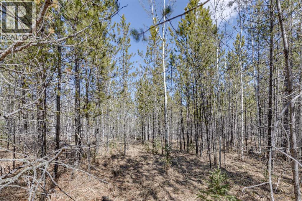 336241 Leisure Lake Bay W, Rural Foothills County, Alberta  T0L 1W2 - Photo 30 - A2303777