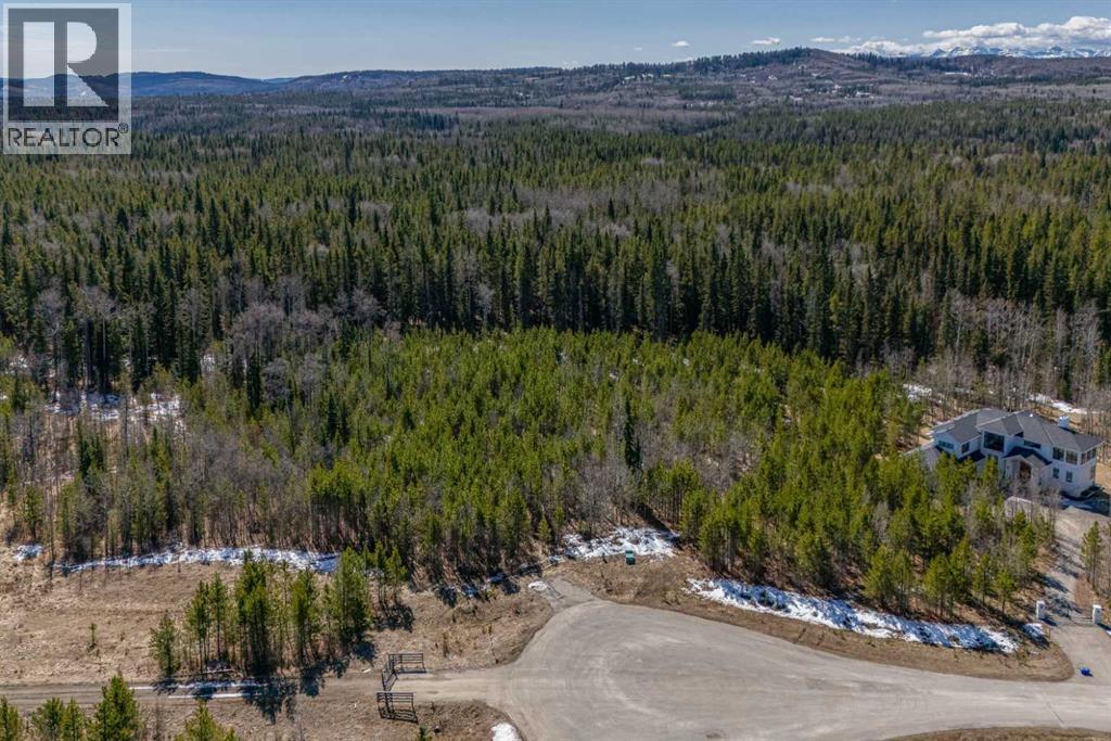 336241 Leisure Lake Bay W, Rural Foothills County, Alberta  T0L 1W2 - Photo 5 - A2303777