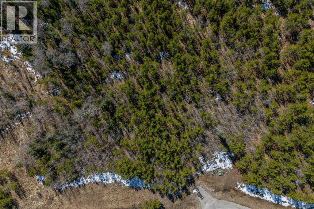 336241 Leisure Lake Bay W, Rural Foothills County, Alberta  T0L 1W2 - Photo 37 - A2303777