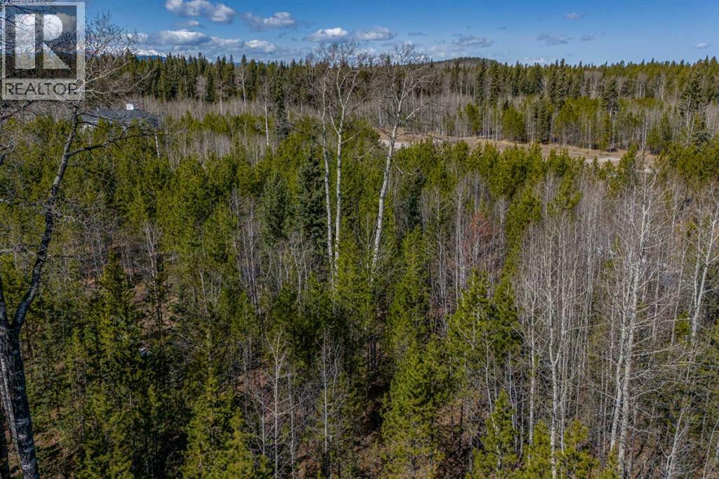 336241 Leisure Lake Bay W, Rural Foothills County, Alberta  T0L 1W2 - Photo 8 - A2303777