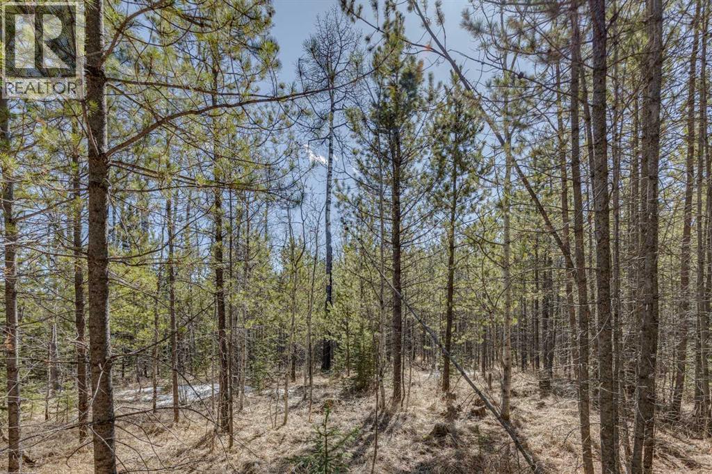 336241 Leisure Lake Bay W, Rural Foothills County, Alberta  T0L 1W2 - Photo 19 - A2303777