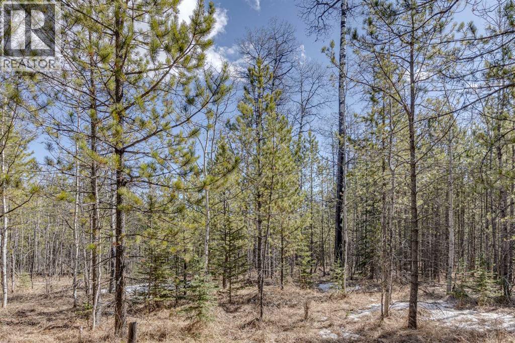 336241 Leisure Lake Bay W, Rural Foothills County, Alberta  T0L 1W2 - Photo 21 - A2303777