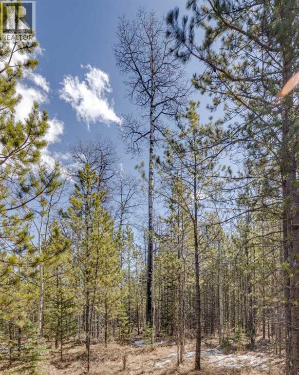 336241 Leisure Lake Bay W, Rural Foothills County, Alberta  T0L 1W2 - Photo 22 - A2303777