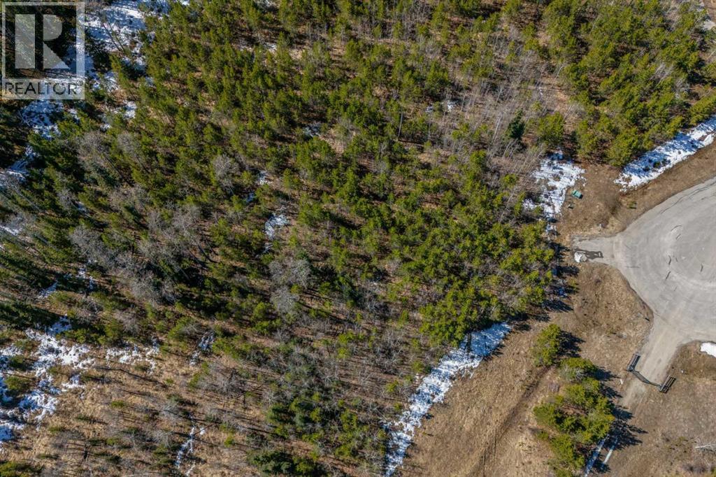 336241 Leisure Lake Bay W, Rural Foothills County, Alberta  T0L 1W2 - Photo 6 - A2303777