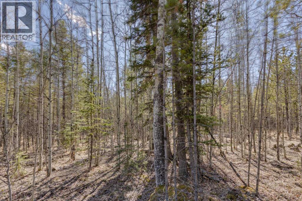 336241 Leisure Lake Bay W, Rural Foothills County, Alberta  T0L 1W2 - Photo 34 - A2303777