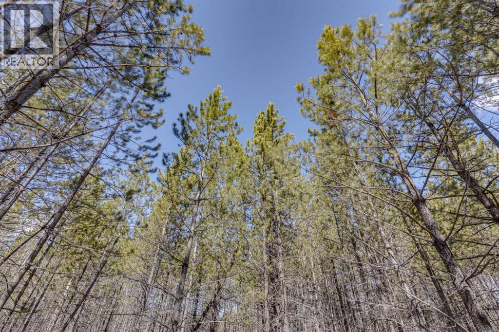 336241 Leisure Lake Bay W, Rural Foothills County, Alberta  T0L 1W2 - Photo 18 - A2303777