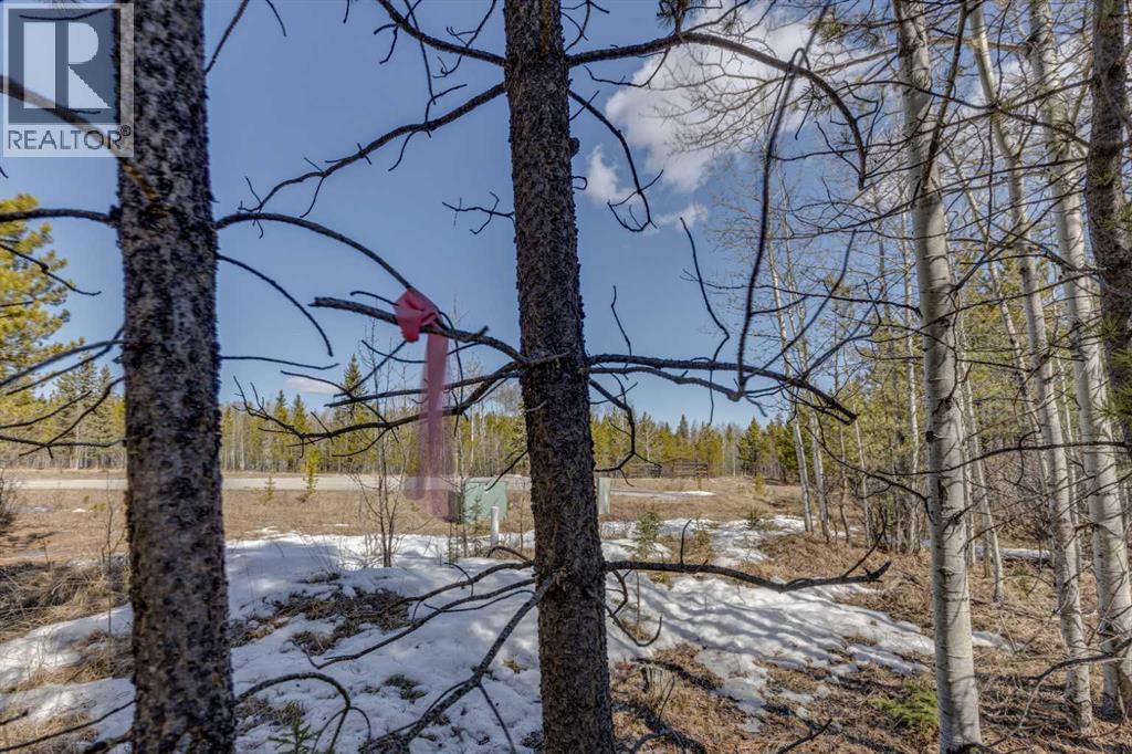 336241 Leisure Lake Bay W, Rural Foothills County, Alberta  T0L 1W2 - Photo 33 - A2303777