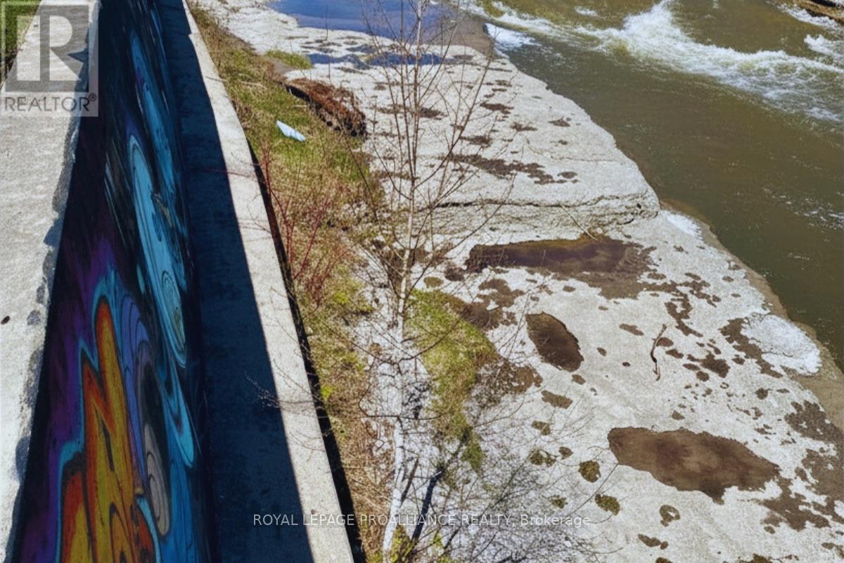 96 Cavan Street, Port Hope, Ontario  L1A 3B7 - Photo 3 - X12772786