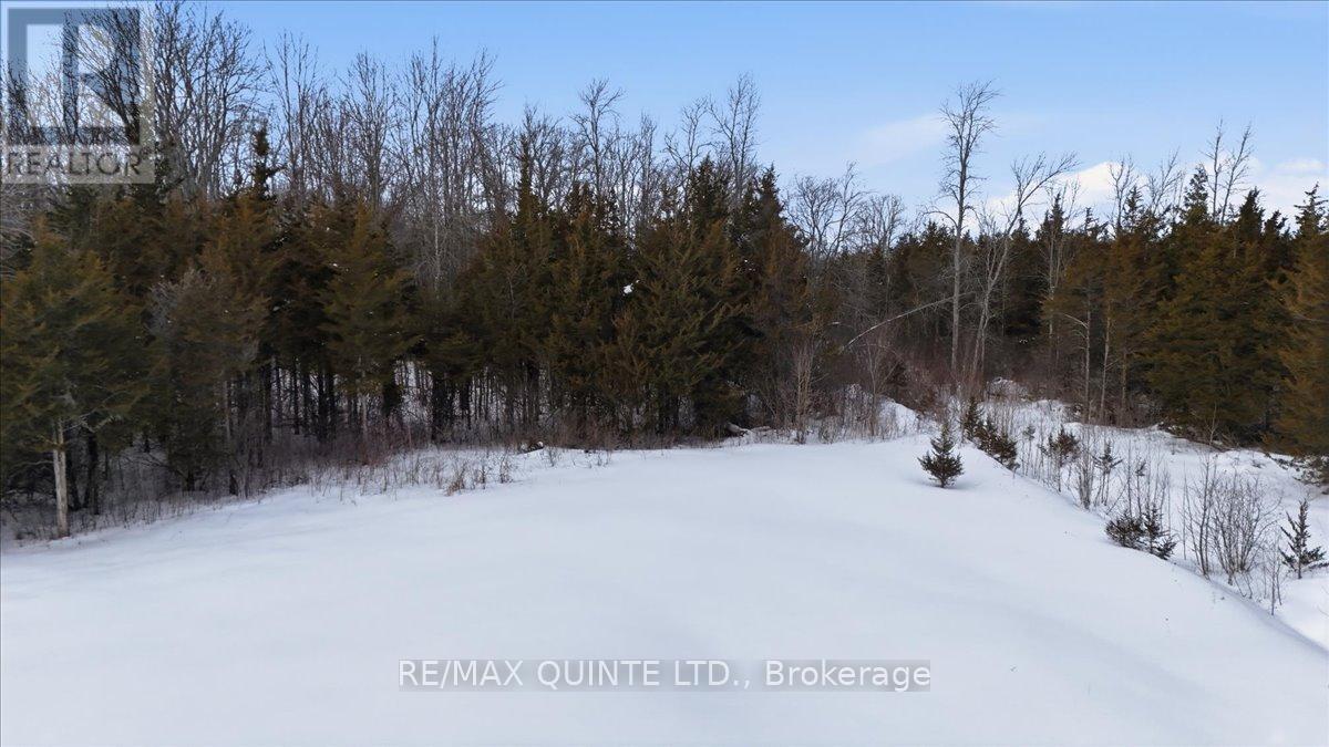 355 Mitchells Crossroad, Prince Edward County, Ontario  K0K 2T0 - Photo 42 - X12834248