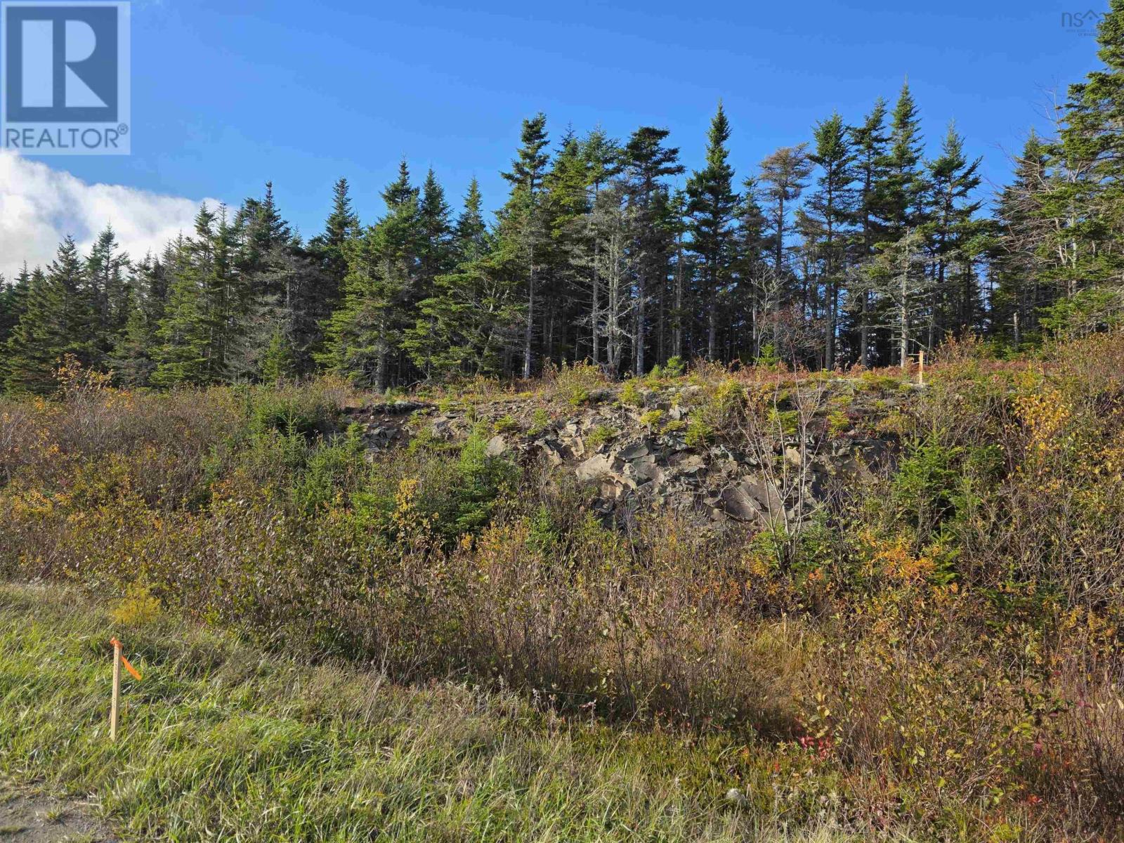 Land 104 Highway, River Bourgeois, Nova Scotia  B0E 2X0 - Photo 8 - 202527068