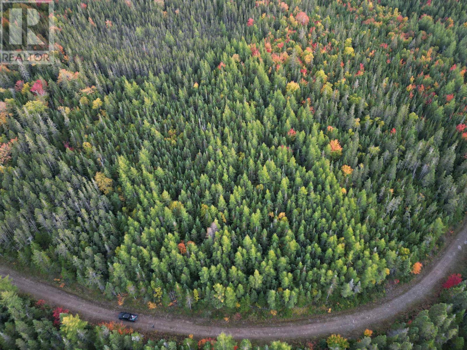 Land 104 Highway, River Bourgeois, Nova Scotia  B0E 2X0 - Photo 10 - 202527068