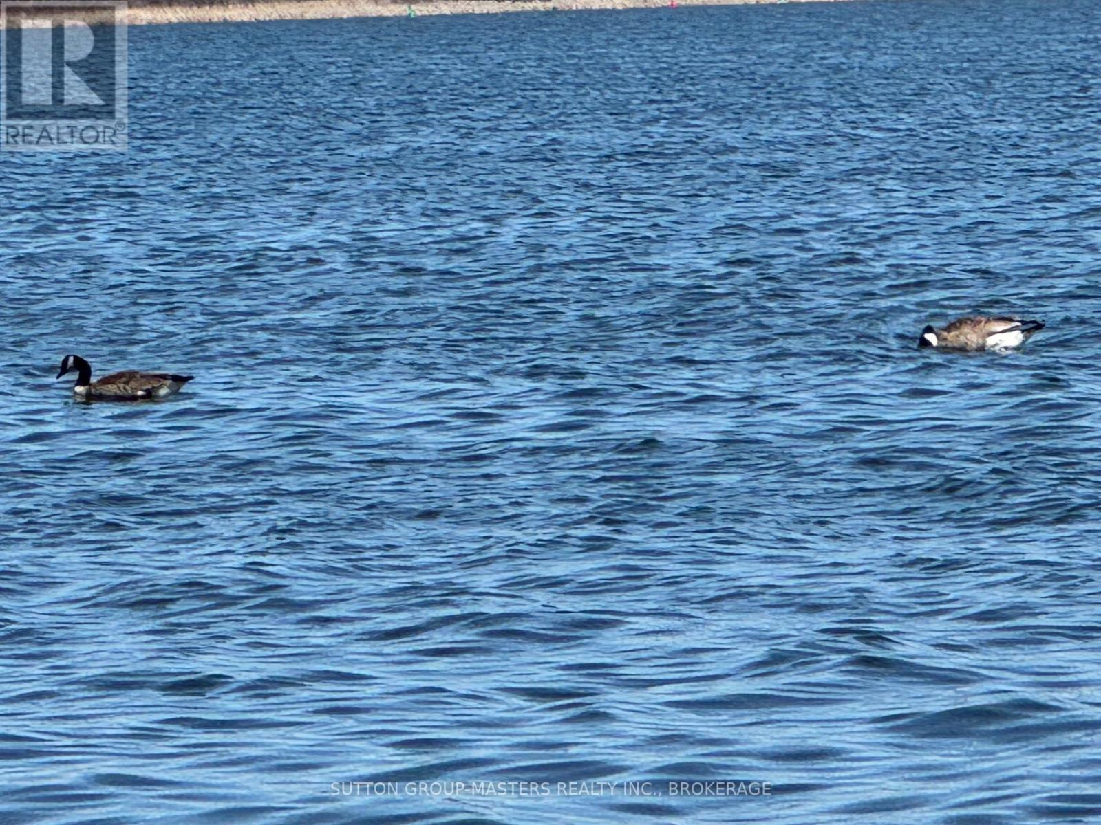 790 Newmarket Lane, Kingston, Ontario  K7K 0C8 - Photo 47 - X12989152