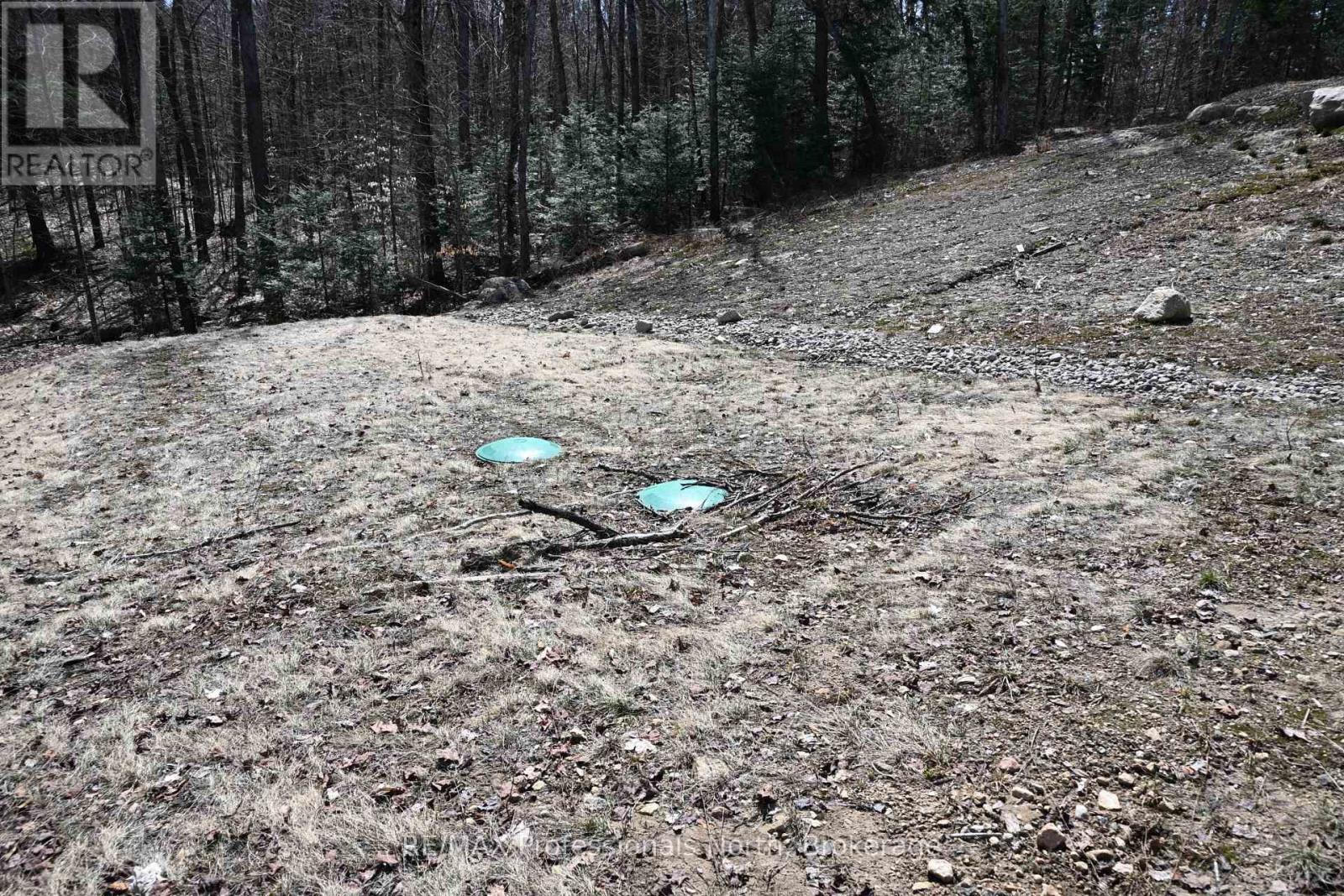 121 Loon Lake Road, Magnetawan, Ontario  P0A 1Z0 - Photo 36 - X12643326