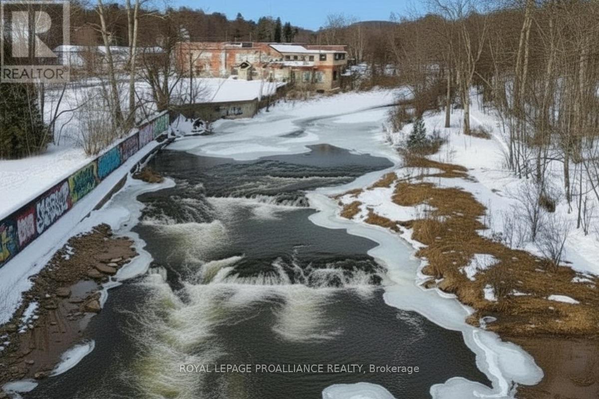 96 Cavan Street, Port Hope, Ontario  L1A 3B7 - Photo 37 - X12772786
