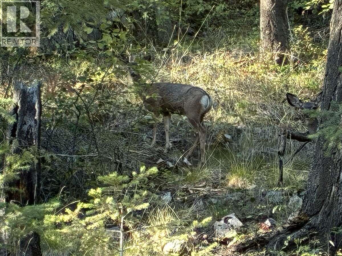7429 Sunnybrae Canoe Point Road Unit# 22, Tappen, British Columbia  V0E 2X1 - Photo 21 - 10384378