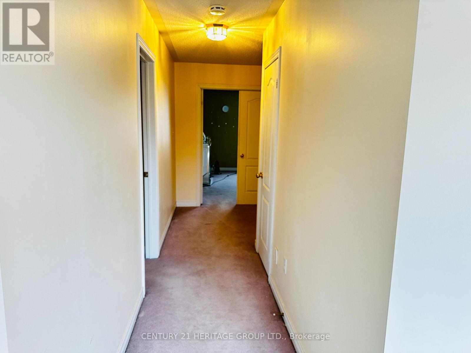 97 Maroon Drive, Richmond Hill, Ontario  L4E 5B6 - Photo 18 - N12947268