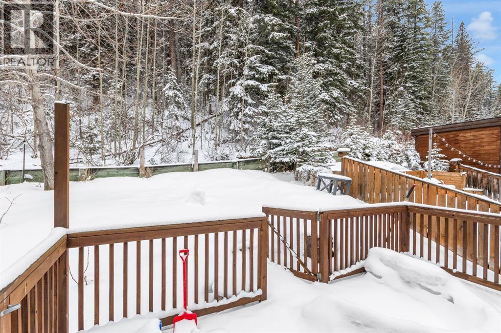 931 Wilson Way, Canmore, Alberta  T1W 2Y9 - Photo 29 - A2303769