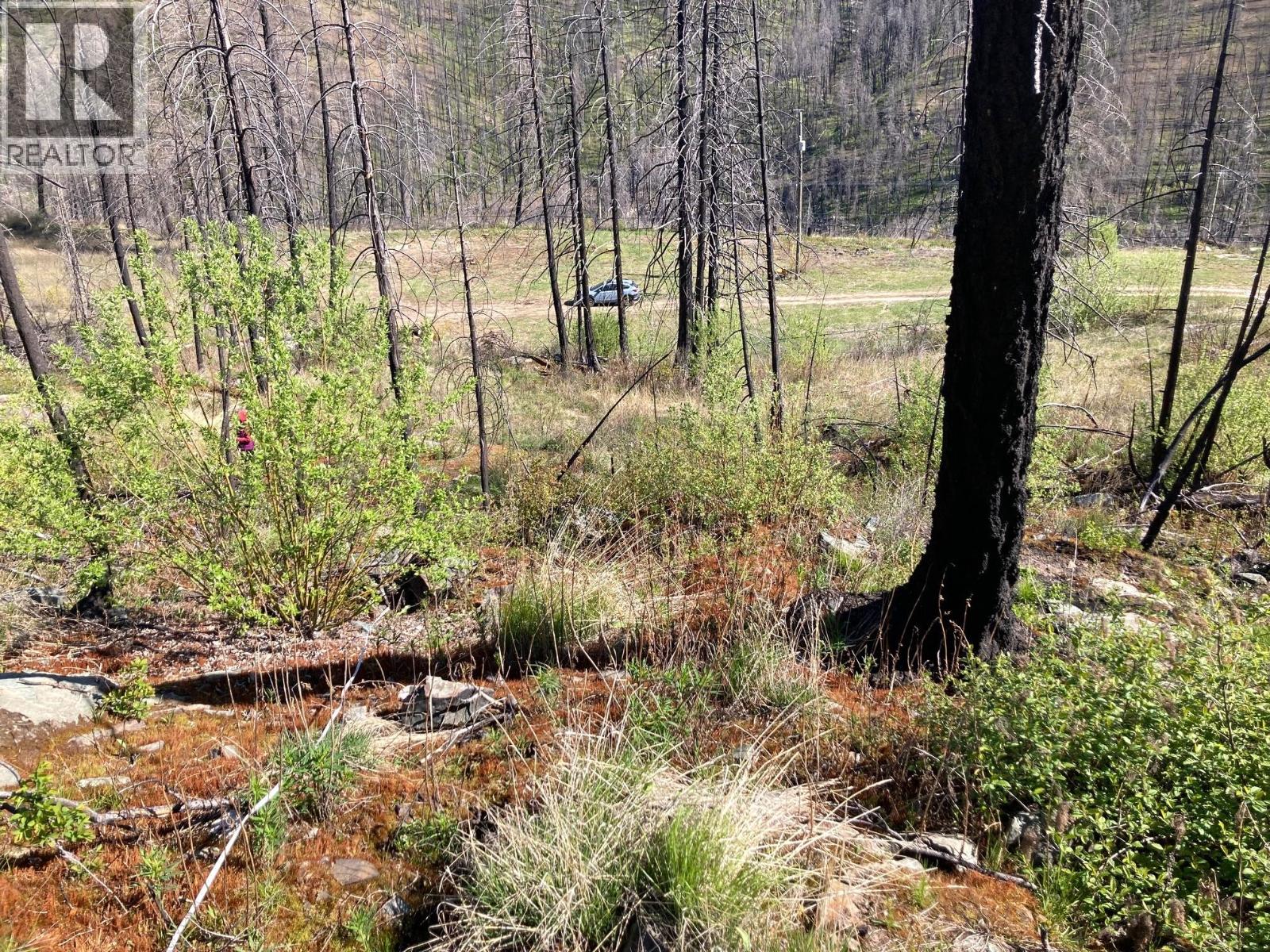 1449 Holding Road, Adams Lake, British Columbia  V0E 1M2 - Photo 30 - 10384747