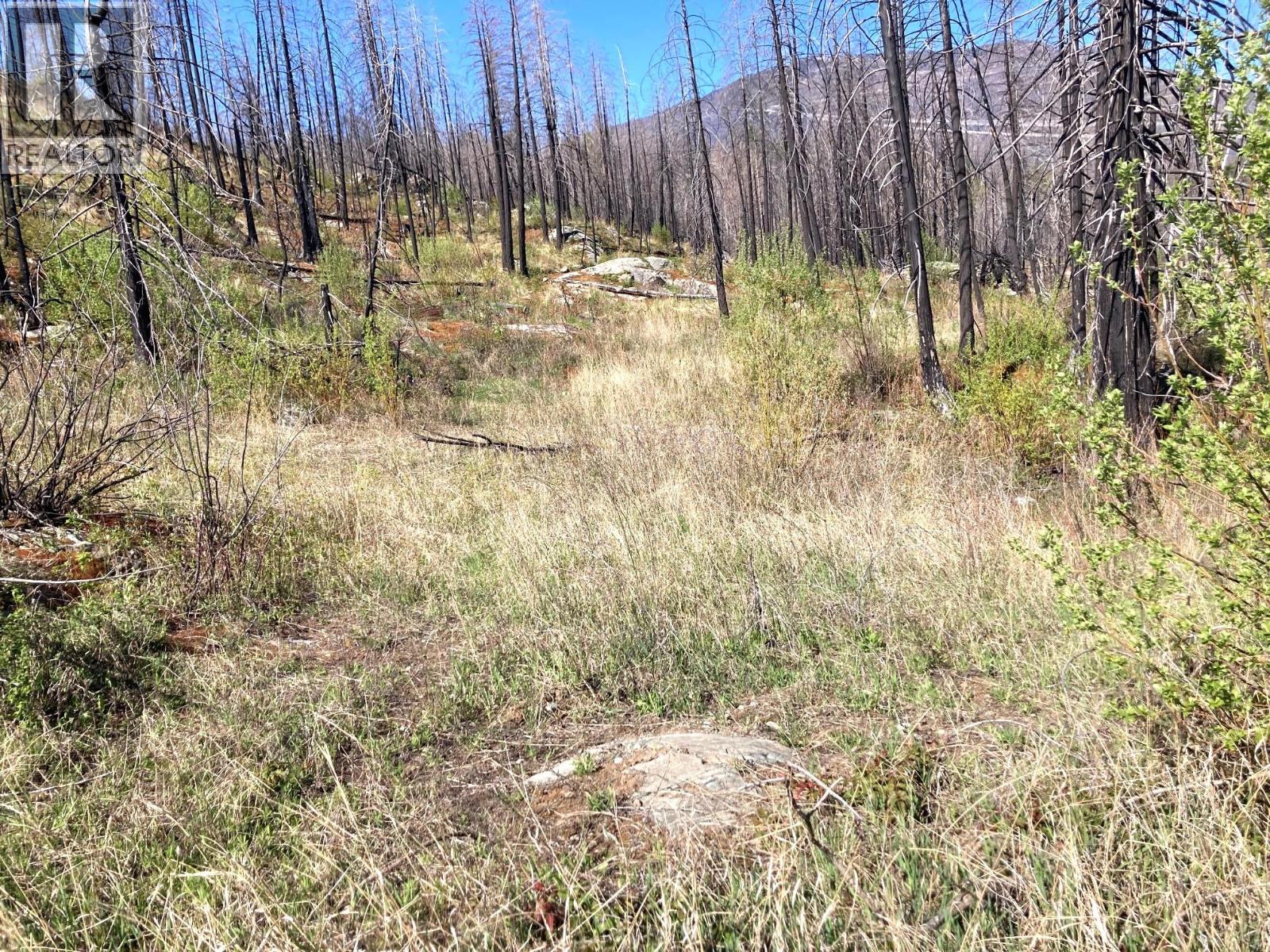 1449 Holding Road, Adams Lake, British Columbia  V0E 1M2 - Photo 31 - 10384747