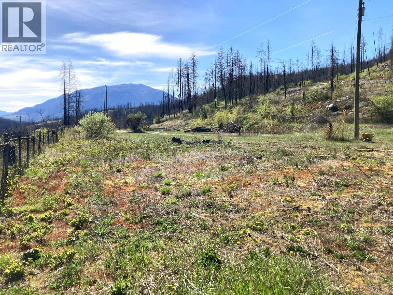 1449 Holding Road, Adams Lake, British Columbia  V0E 1M2 - Photo 3 - 10384747