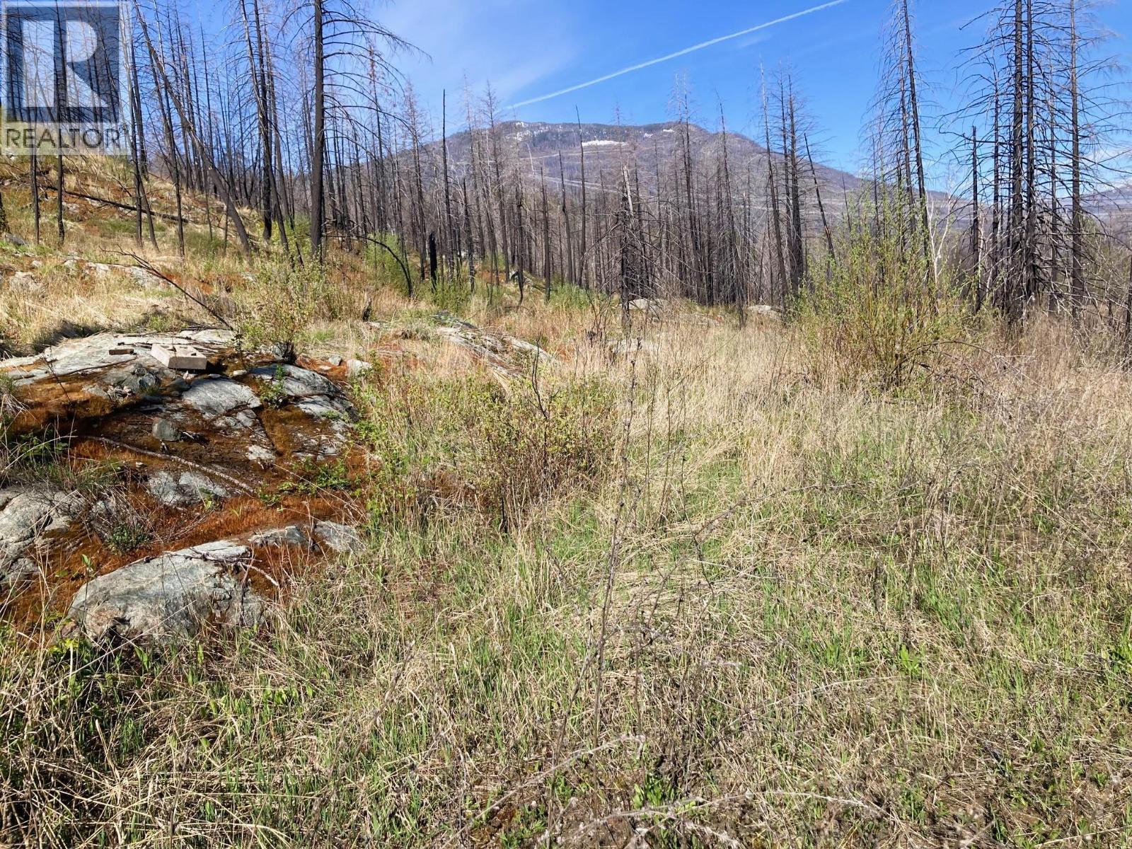 1449 Holding Road, Adams Lake, British Columbia  V0E 1M2 - Photo 14 - 10384747