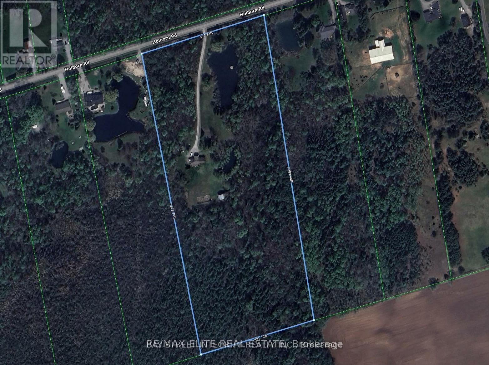 4909 Holborn Road, East Gwillimbury, Ontario  L0G 1M0 - Photo 3 - N13046326