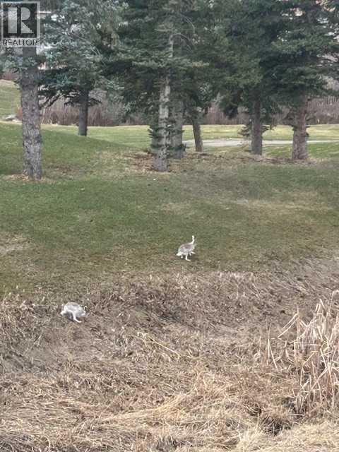 351 Crystal Green Rise, Okotoks, Alberta  T1S 2N6 - Photo 48 - A2304445