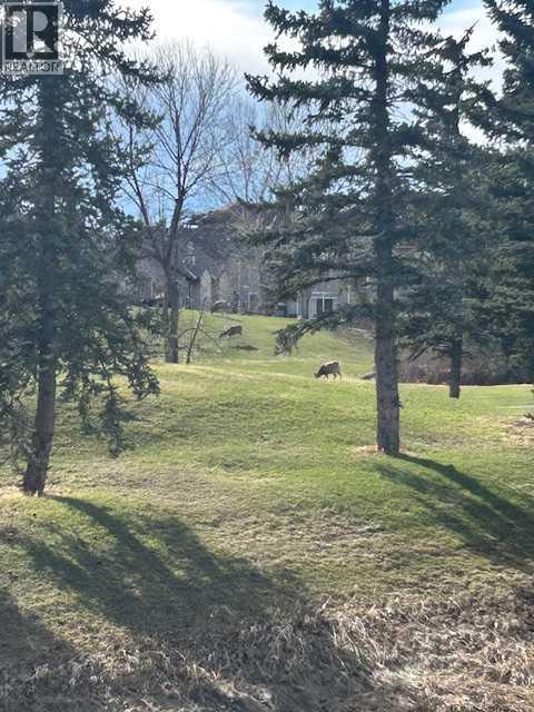 351 Crystal Green Rise, Okotoks, Alberta  T1S 2N6 - Photo 49 - A2304445