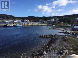 213a Main Road, Winterton, Newfoundland & Labrador  A0B 3M0 - Photo 8 - 1294123