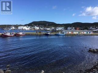 213a Main Road, Winterton, Newfoundland & Labrador  A0B 3M0 - Photo 9 - 1294124