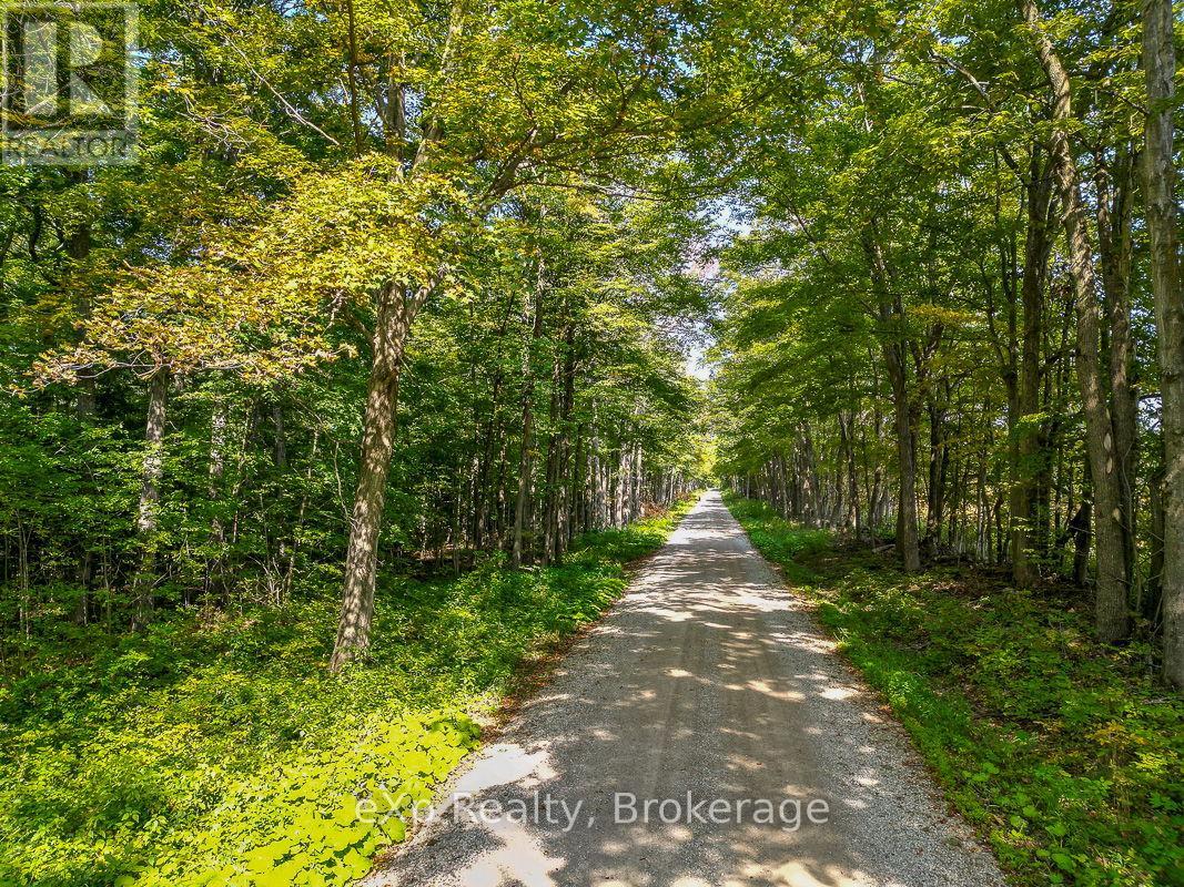 Ptlt 30 30th Sideroad Ndr, West Grey, Ontario  N0G 1S0 - Photo 10 - X13046418
