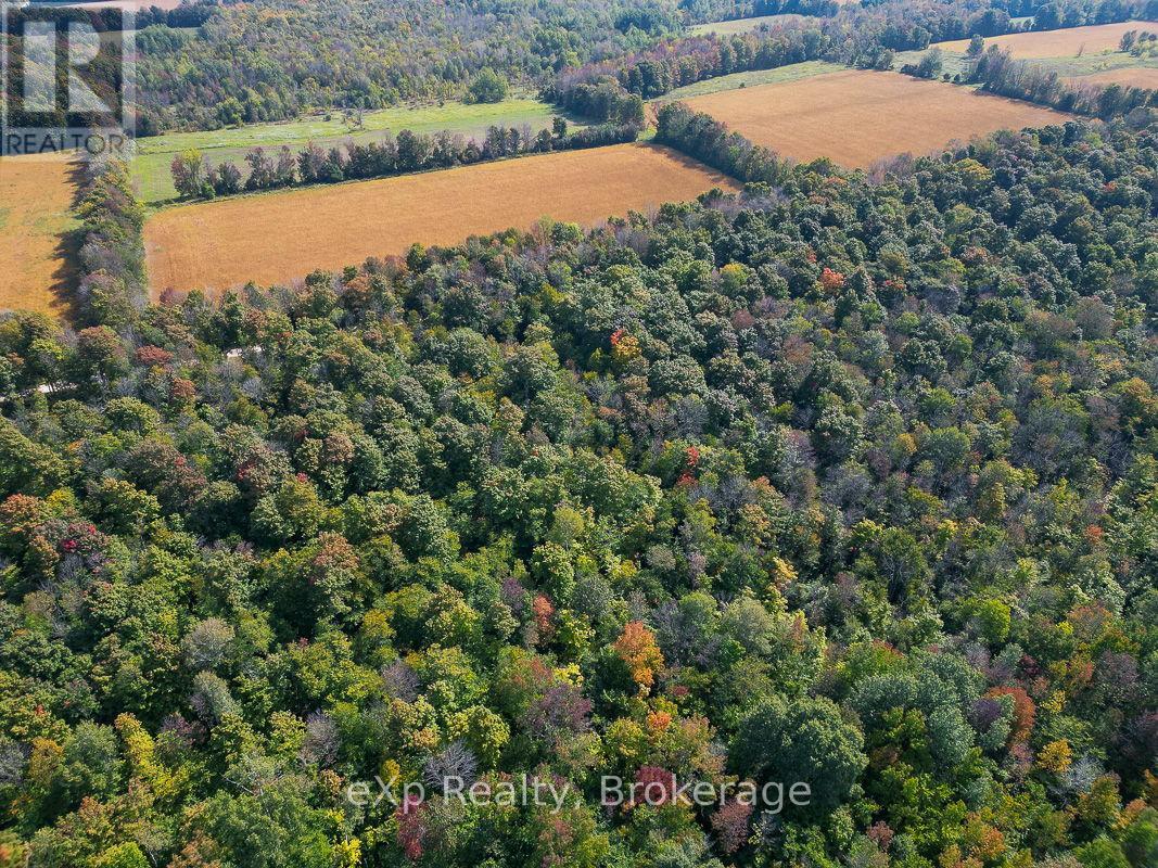 Ptlt 30 30th Sideroad Ndr, West Grey, Ontario  N0G 1S0 - Photo 5 - X13046418