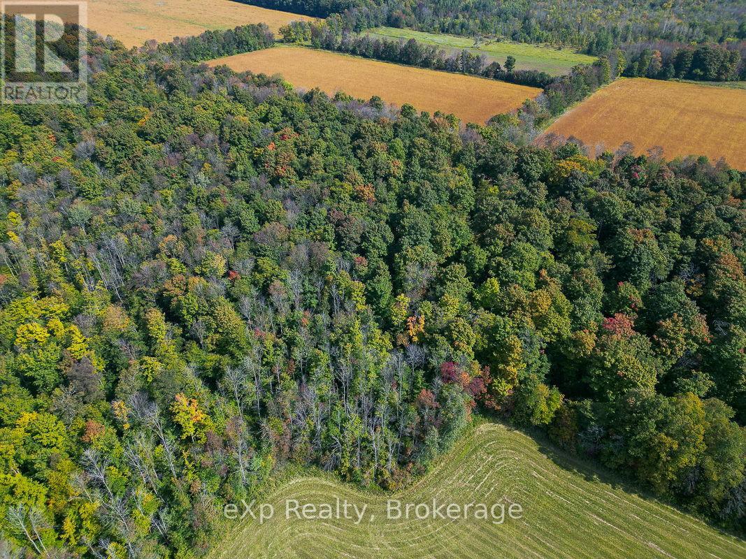 Ptlt 30 30th Sideroad Ndr, West Grey, Ontario  N0G 1S0 - Photo 9 - X13046418