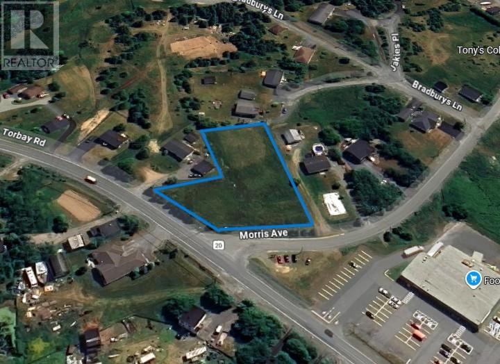 3 Morris Avenue, Torbay, Newfoundland & Labrador  A1K 1G8 - Photo 2 - 1296589