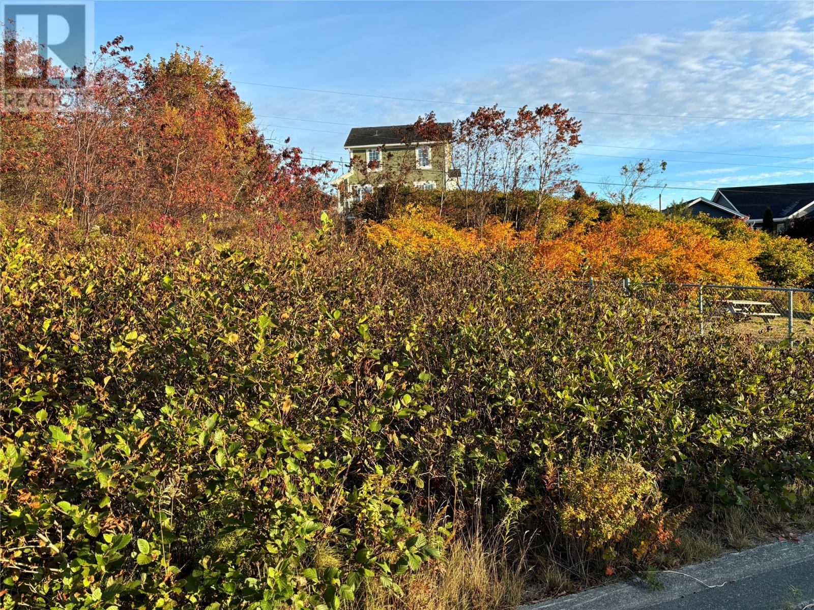 61 Badcock Boulevard, Bay Roberts, Newfoundland & Labrador  A0A 1G0 - Photo 2 - 1278990