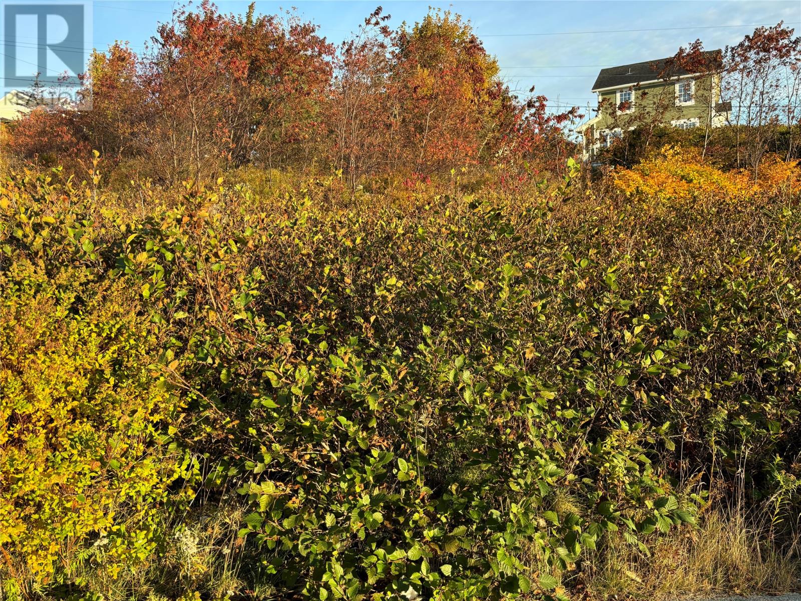 61 Badcock Boulevard, Bay Roberts, Newfoundland & Labrador  A0A 1G0 - Photo 3 - 1278990