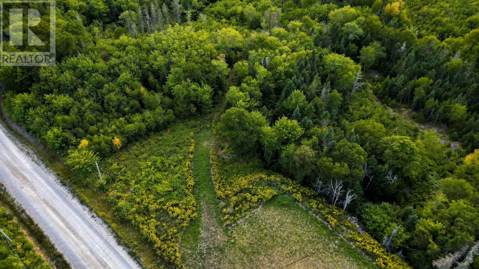 Road 0 Beechmont Road, Gillis Lake, Nova Scotia  B2A 4J6 - Photo 13 - 202608649