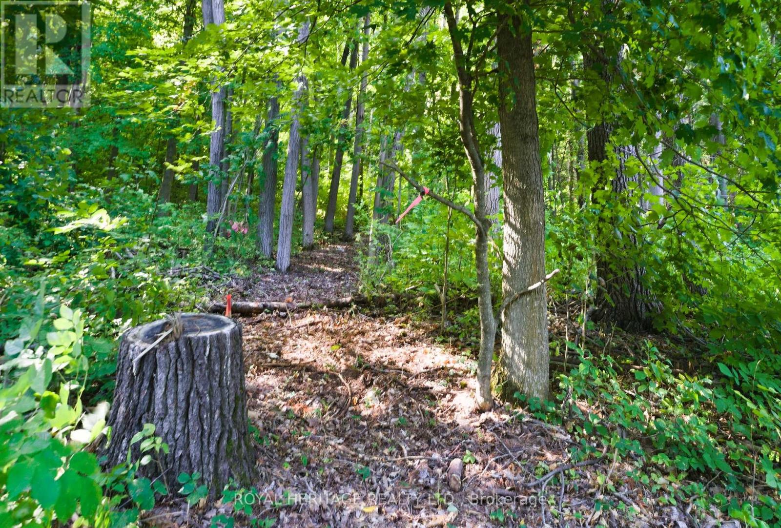 0 PINEWOOD SCHOOL ROAD, cramahe, Ontario