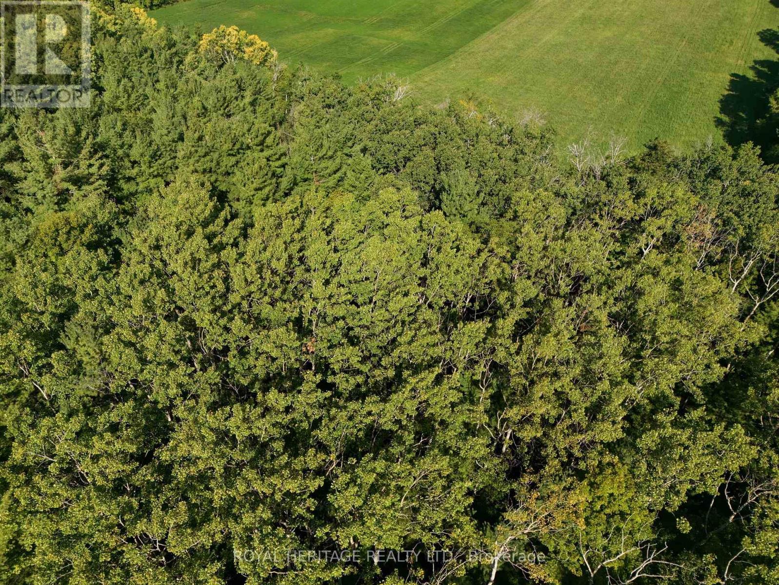 0 Pinewood School Road, Cramahe, Ontario  K0K 1M0 - Photo 13 - X13046430