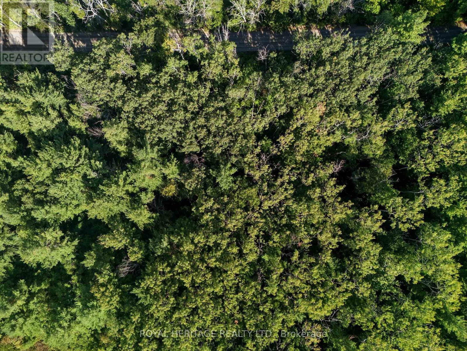 0 Pinewood School Road, Cramahe, Ontario  K0K 1M0 - Photo 16 - X13046430