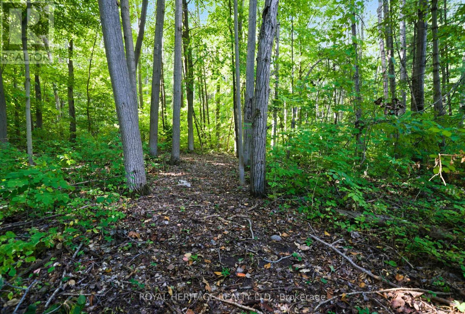 0 Pinewood School Road, Cramahe, Ontario  K0K 1M0 - Photo 2 - X13046430